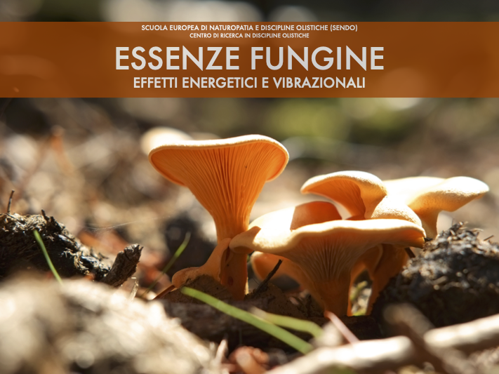 Essenze fungine