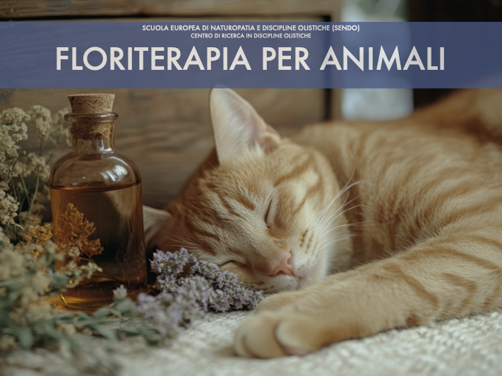 Floriterapia per animali