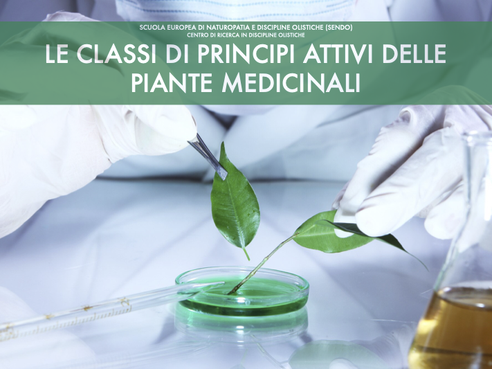 Le classi di principi attivi delle piante medicinali