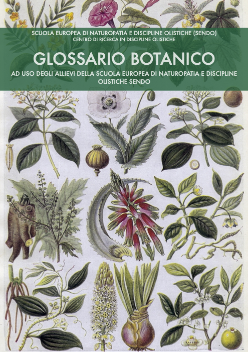 Glossario botanico