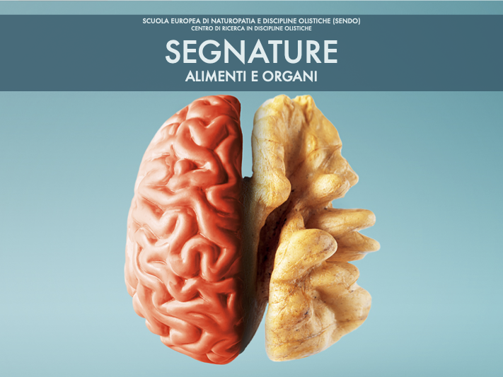 Segnature di alimenti e organi