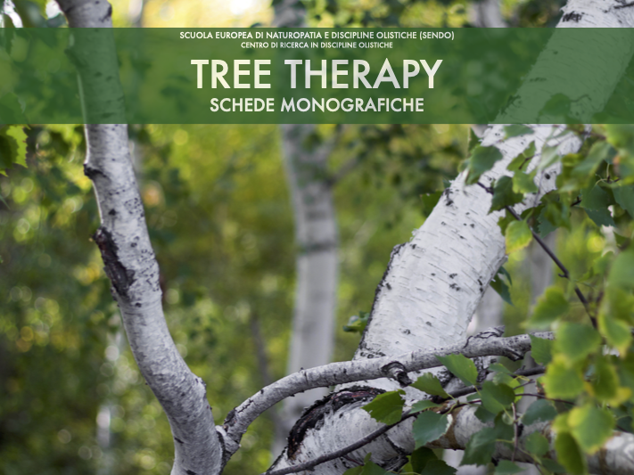 Tree therapy - schede monografiche