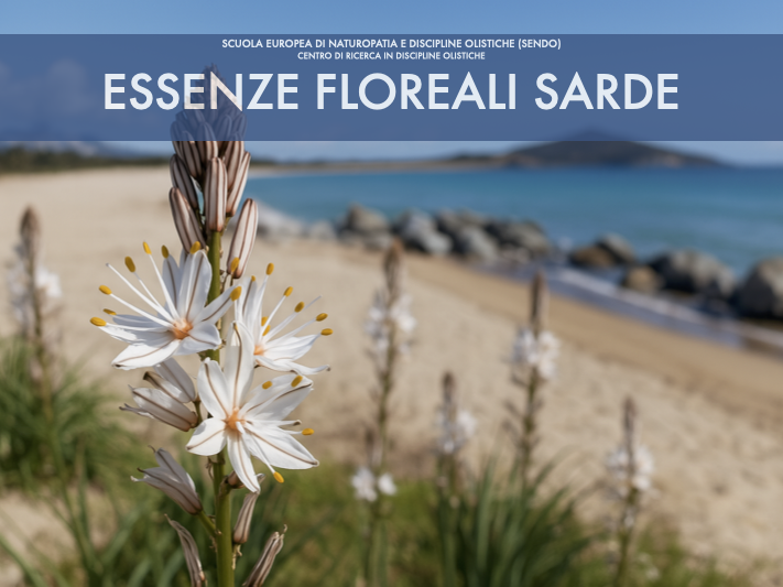 manuale di Essenze floreali sarde