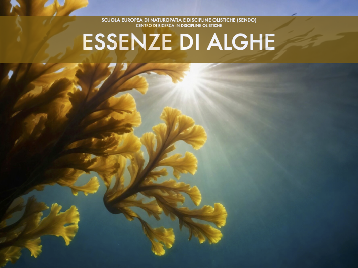 manuale di Essenze di alghe