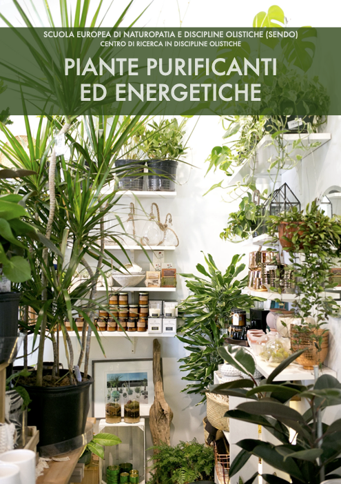 Piante purificanti energetiche