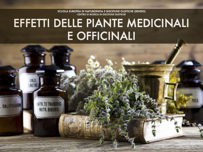 Effetti delle piante medicinali e officinali