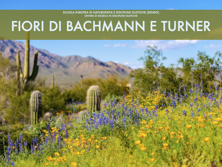 manuale di Fiori di Bachmann e Turner